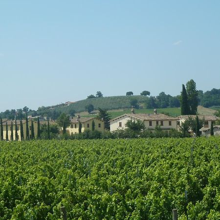 Agriturismo Villaggio Green มอนเตฟัลโก ภายนอก รูปภาพ